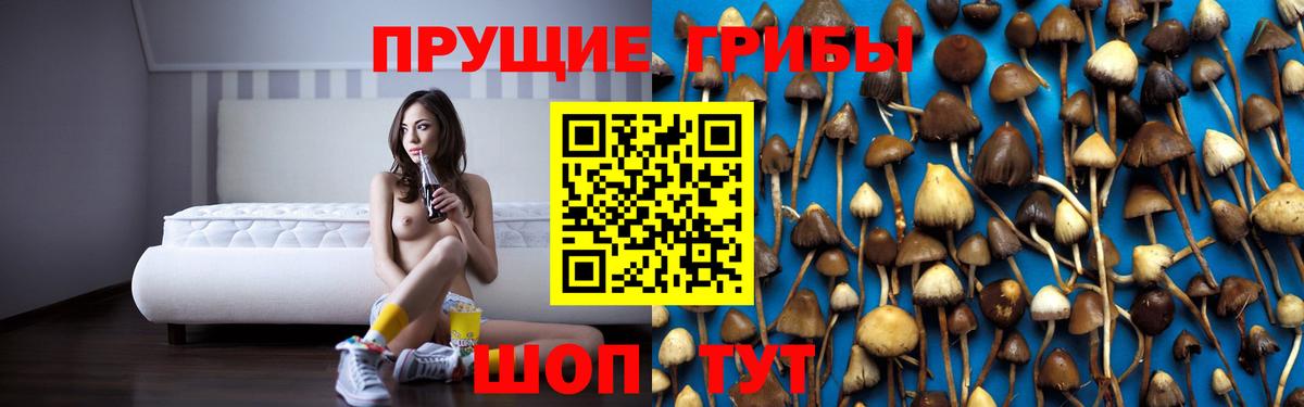 Псилоцибиновые грибы прущие грибы  Галлюциногенные грибы Psilocybe  Ивантеевка  Вход с VPN 